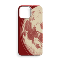 Dünya Premium Telefon Kılıfı -174
